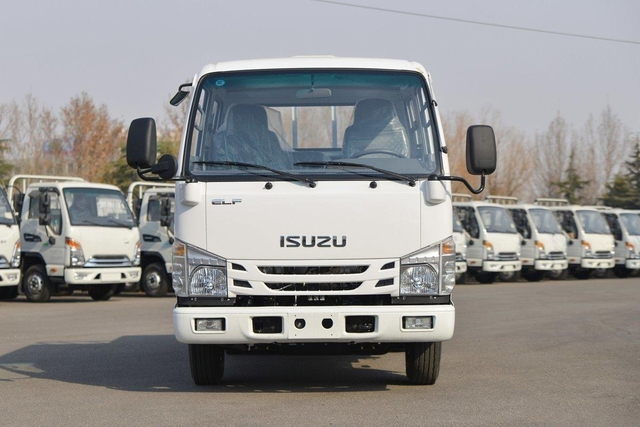  庆铃五十铃轻卡 100P 4x2 QL1040AMEW