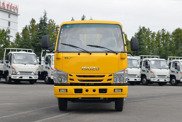  庆铃五十铃轻卡 100P 4x2 QL1043BUHW