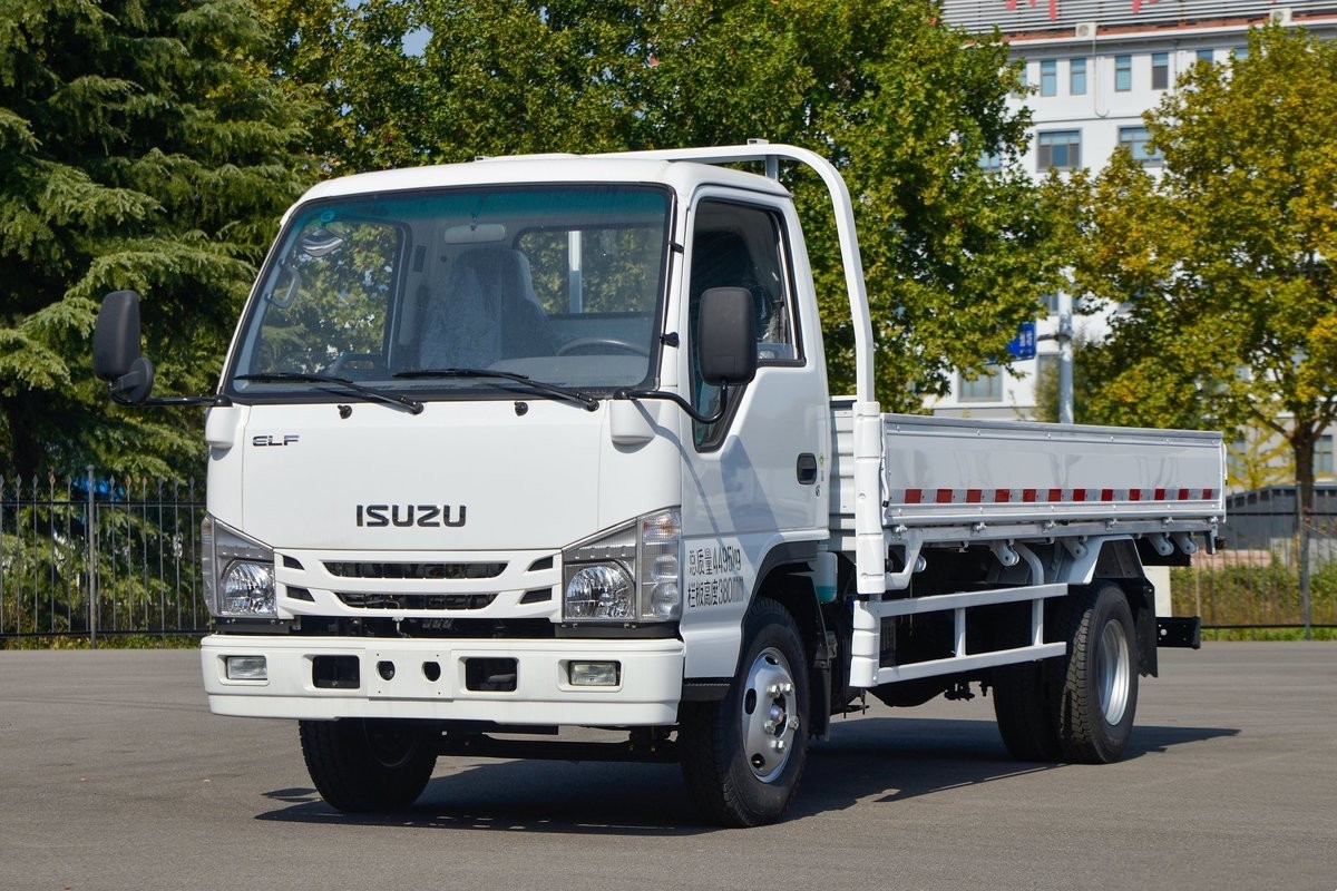  庆铃五十铃轻卡 100P 4x2 QL1041BUHA